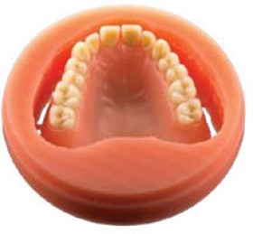 Polident+Pmma+Pink+Veined+98x30mm