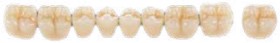 Vita+Physiodens+Classic+Lower+Posterior+Shade+A2+Mould+22E