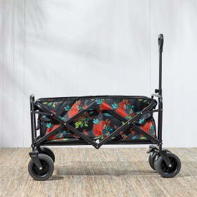 Collapsible-Beach-Trolley on sale