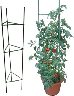 Tussock+Tomato+Cage+Stakes+210cm