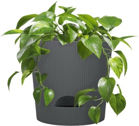 NEW-Tussock-Ribbed-Planter-with-Saucer-21x21cm on sale