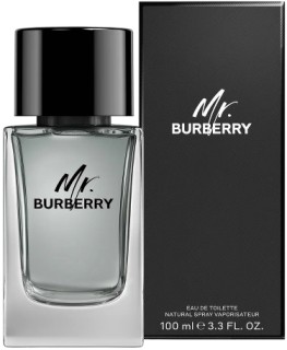 Burberry-Mr-Burberry-EDT-100ml on sale
