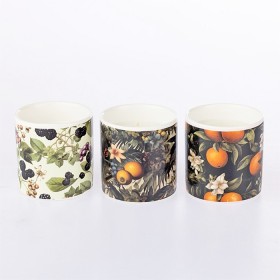 Outsidings-Balmy-Citronella-3pc-Set-Fruits on sale