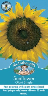 Mr+Fothergill%26%23039%3Bs+Giant+Single+Sunflower+Seed