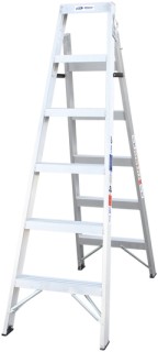 Dual-Purpose-Ladder on sale