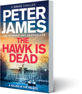 The-Hawk-Is-Dead on sale