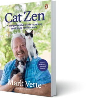 Cat-Zen on sale