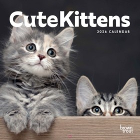 2026-Cute-Kittens-Wall-Calendar on sale