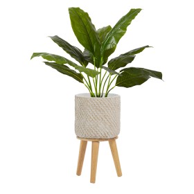 Cayla-Planter on sale