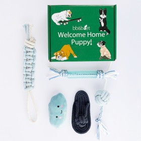 bbb-Pets-Puppy-Starter-Kit on sale