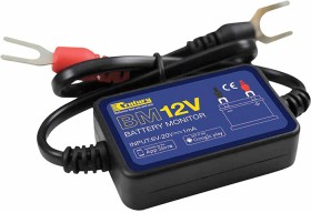 Century-Battery-Monitor on sale