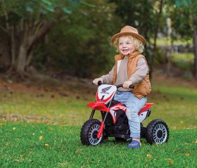 NEW-Honda-Trike on sale