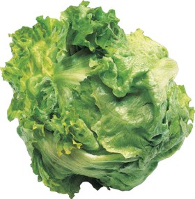 Unwrapped+Lettuce
