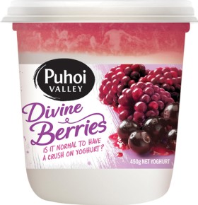 Puhoi-Valley-Yoghurt-Tub-Devine-Berries-450g on sale