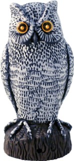 Jack-28cm-Motion-Sensor-Owl on sale