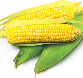 Sweetcorn on sale