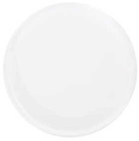 Polident-PMMA-Casting-Disc-w-Shoulder-98-x-15mm on sale