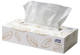Tork-Extra-Soft-Facial-Tissue-2-Ply-Box-100-CTN-48 on sale