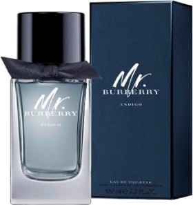 Burberry-Mr-Burberry-EDT-100ml on sale