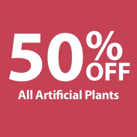 50%25+off+All+Artificial+Plants