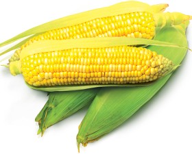 Sweetcorn
