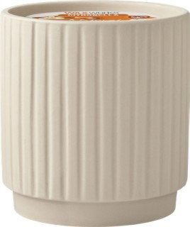 Waxworks-Citronella-Candle on sale