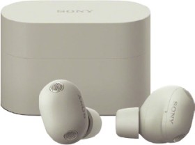 Sony+WF-1000X+M6+Truly+Wireless+Noise+Cancelling+Earbuds+-+Platinum+Silver