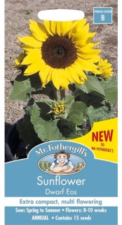 Mr+Fothergill%26%23039%3Bs+Sunflower+Dwarf+Eos