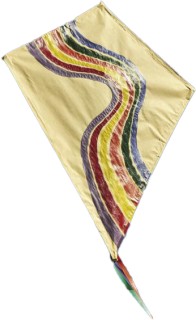 Personalised-Kite on sale