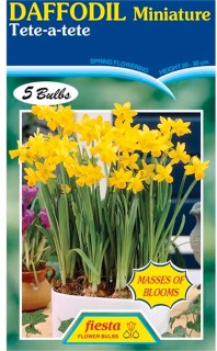 Daffodil-Tete-a-Tete-5-Bulbs on sale