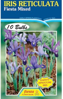 Fiesta-Flower-Bulbs-Iris-Reticulata-Mixed-10-Bulbs on sale