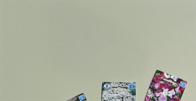 Dulux+Wellsford+Paint