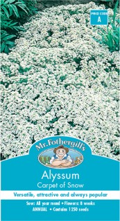 Mr-Fothergills-Seed-Alyssum-Carpet-Of-Snow on sale