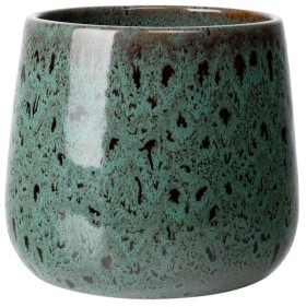 Calathea-Medallion-in-Northcote-Pottery-Virgo-18cm-Pot-in-Forest on sale