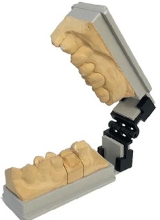 DVA-Twin-Tray-Treated-Quadrant-100-Pack on sale