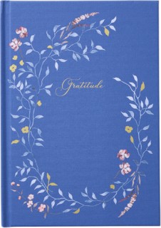 Noted-Belle-Gratitude-Journal on sale