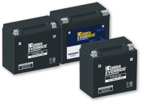 15%25+off+Century+Everride+Sports+Batteries