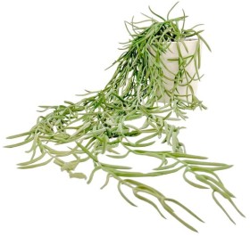 Un-Real-Green-Hoya-Linearis-55cm-Artificial-Plant on sale