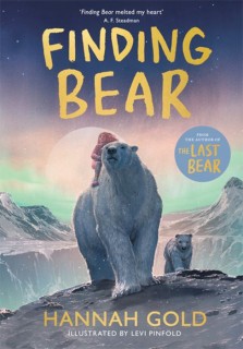 Finding-Bear on sale