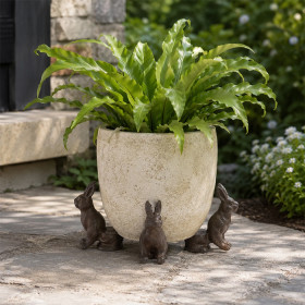 Rabbit-Set-3 on sale