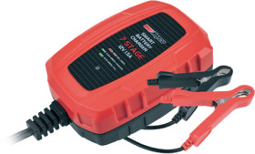 Repco-12V-15A-Battery-Charger-Maintainer on sale