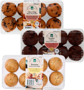 Woolworths-Choc-Chip-Double-Choc-Blueberry-or-Banana-Mini-Muffins-8-Pack on sale