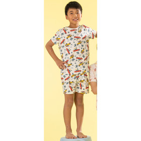 bbb-Road-Trippin-Dinos on sale