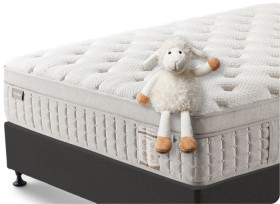Pure-Rest-Queen-Bed on sale