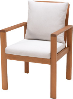 Mimosa-Santo-Timber-Dining-Chair on sale