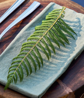 Whekī-Fern-Dicksonia-Squarrosa on sale