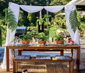 DIY-Table-Canopy on sale