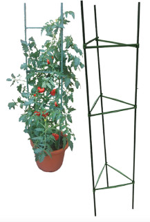 Tussock-Tomato-Cage-Stakes-210cm on sale