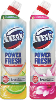 Domestos-Power-Fresh-Toilet-Gel-750ml on sale