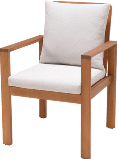 Mimosa-Santo-Dining-Chair on sale